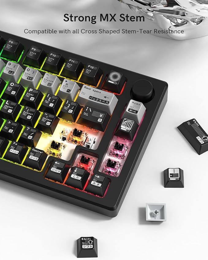 PBT Keycaps with Metal Paint, Janese Style 112-Key Black/Silver Custom Keycap Set dye Sublimation,Cherry Profile Key caps for 61/64/66/68/75/84/87 MX Switches Mechanical Keyboards