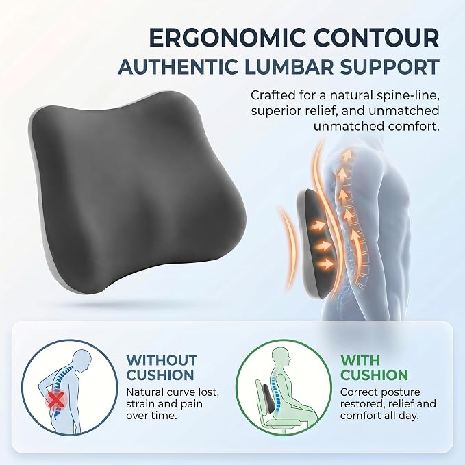 Lumbar Support Pillow, Ergonomic Memory Foam Back Cushion for Car Office Chair Gaming Chair, Washable Cool-Touch Cover for Lower Back Support (Dark Grey)