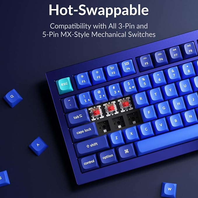 Keychron Q1 RGB Wired Custom Mechanical Keyboard, 75% Layout RGB Backlight with Hot-swappable Gateron G Pro Red Switch Double Gasket Compatible with Mac Windows Linux (Blue) -Version 2