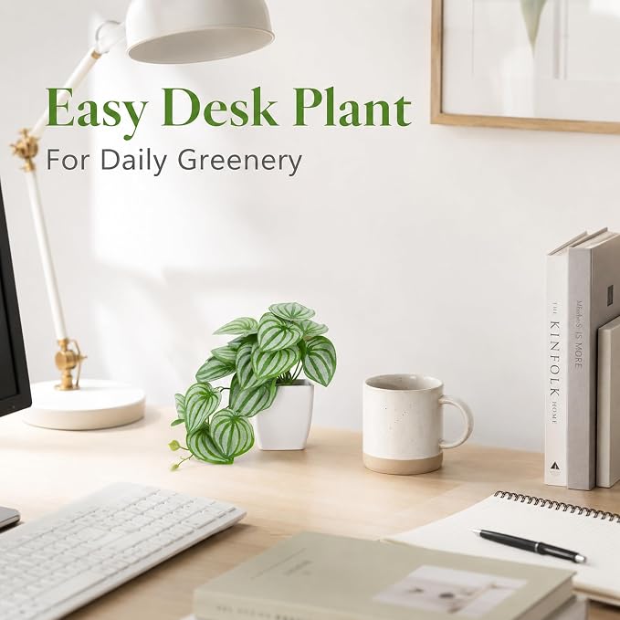Der Rose 2Pcs Small Fake Plants Artificial Mini Faux Plants for Bathroom Office Desk Shelf Table Accessories Decor Indoor