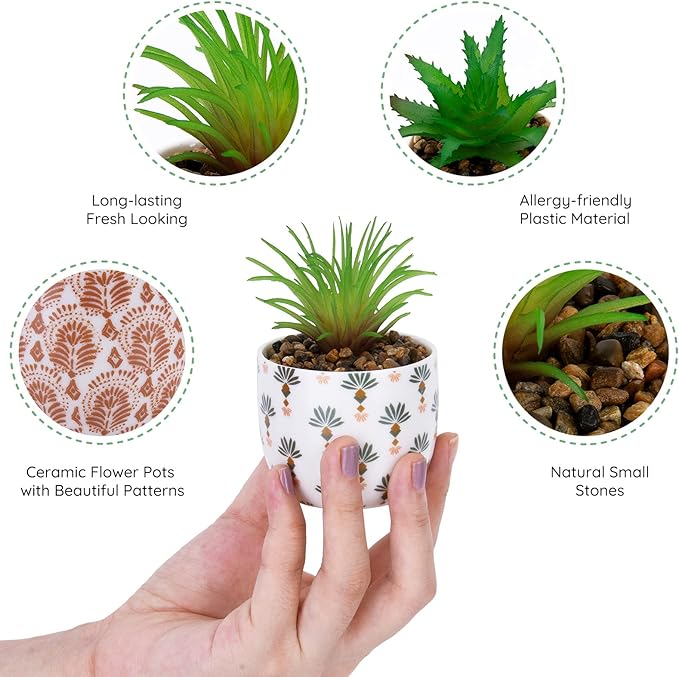2 Pack Artificial Plants Small Cute Succulents in Ceramic Planters Fake Greenery Potted for Living Room Office Desk Decor Bathroom Bedroom Shelves Decor
