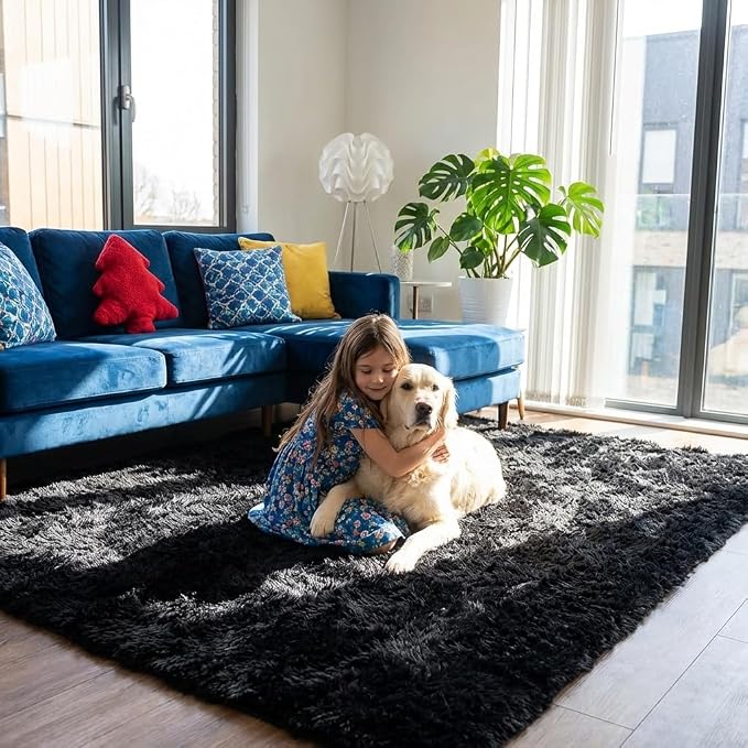 Black Rugs for Bedroom, 3x5 Feet Fluffy Area Rugs for Living Room, Soft Shag Kids Rug Small Carpet for Nursery, Bedside, Indoor, Dorm Decor