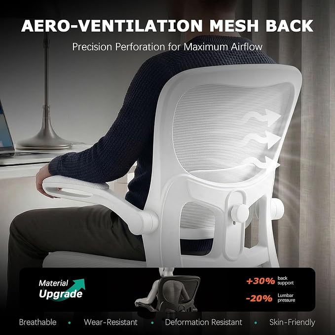 AreShark Office Chair Ergonomic Desk Chairs with Adjustable Lumbar Support, High Back Breathable Mesh Chair with Wheels& Flip-up Armrests,Rolling Swivel Comfy Task Computer Chair for Home Work Gaming