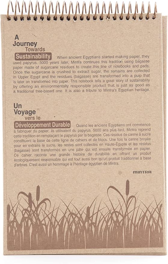 Mintra 100% Recycled Notebooks (Steno Book, Kraft Cover 3pk)