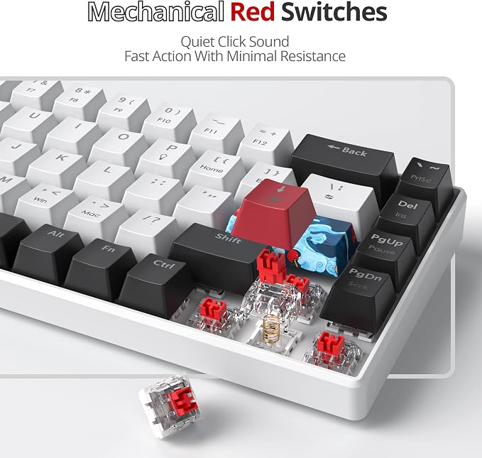 60 Percent Gaming Keyboard 68 Keys Mechanical Keyboard LED Backlit Compact Wired Keyboard with Red Switch for Windows PS4/5 Xbox Gamer(Black-White)
