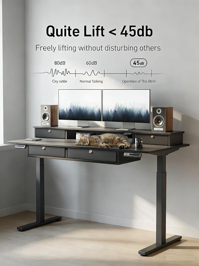 CubiCubi 48" x 24" Standing Desk with Drawers, Height Adjustable Electric Workstation, Computer Sit Stand Up Table with Large Storage Shelf 4 Drawers and 2 Hooks, Black