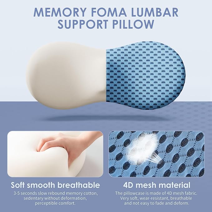 kasney Lumbar Support Pillow, Back Pillow for Low Back Pain Relief, Ergonomic Streamline Car Seat, Office Chair, Recliner and Bed (Blue)