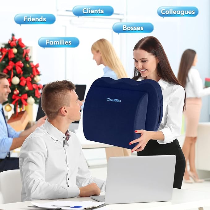 CloudBliss Lumbar Support Pillow & Seat Cushion Set for Office Chair, Desk Chair, Wheelchair & Car–Memory Foam Back Support,Ergonomic Chair Cushions, Sciatica Pain Relief,Home Essentials(Blue,XL)