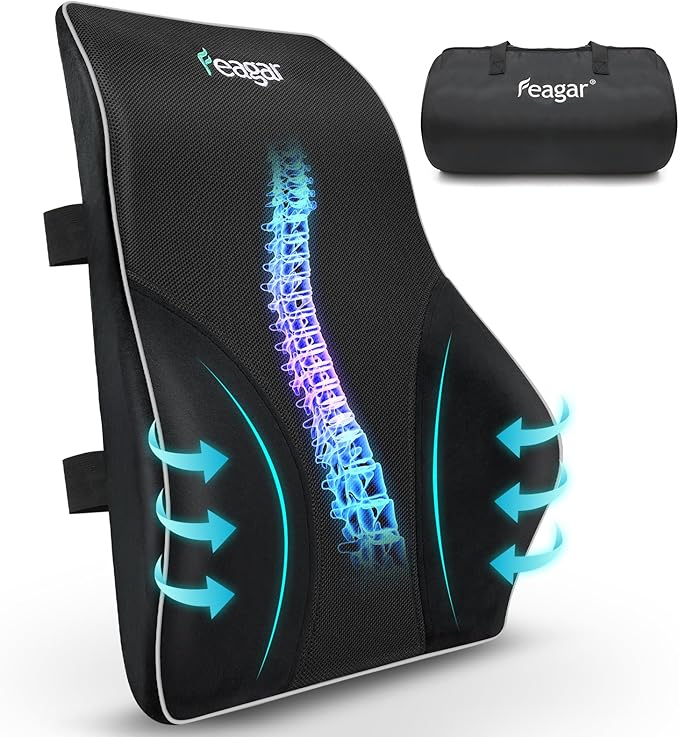 Feagar Lumbar Support Pillow Back Support- Extra Large Memory Foam Pillows | for Lower Back Pain Relief, for Car Seat Office Chair Home, Low Back Pillow Chair Cushions with Extension Strap, Black