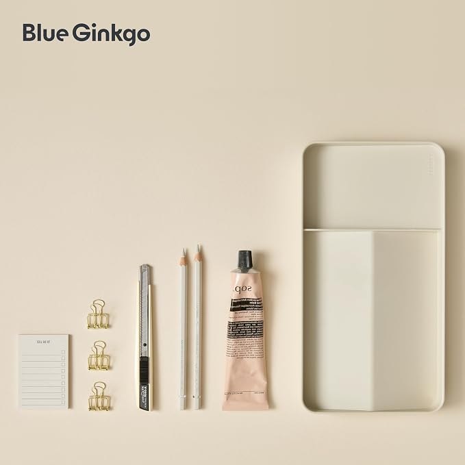 BLUE GINKGO Desk Organizer Tray, Beige, Made in Korea | Double-Sided. Sloped Design. Easy Access.