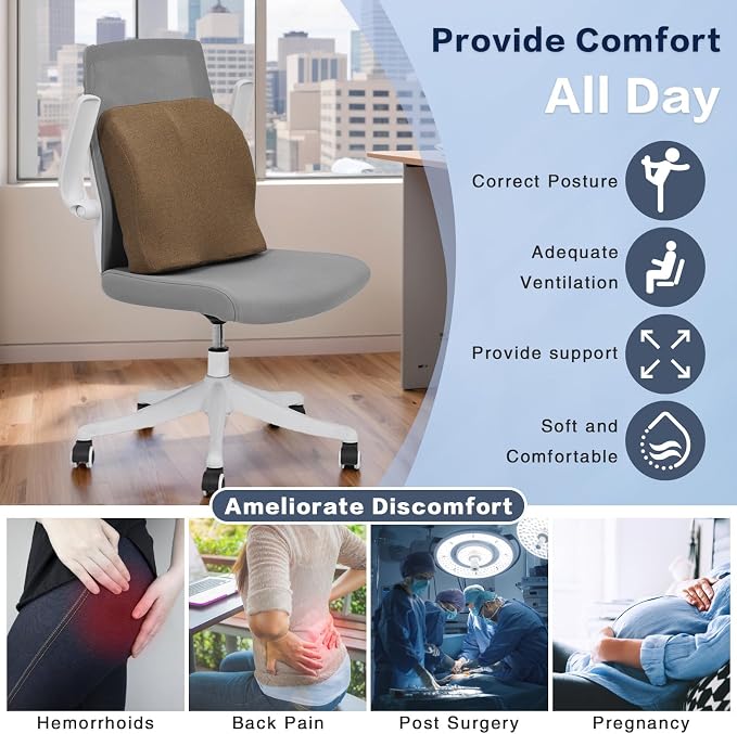 baibu Lumbar Support Pillow for Office Chair, Memory Foam Back Support Cushions Ergonomic Orthopedic Lumbar Pillow for Home, Office, Car, Brown