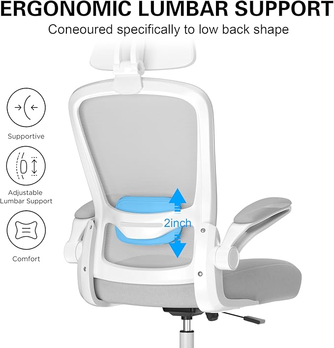 Mimoglad Office Chair, High Back Ergonomic Desk Chair with Adjustable Lumbar Support and Headrest, with flip-up Armrests for Guitar Playing, 5 Years Warranty (Moon Grey)