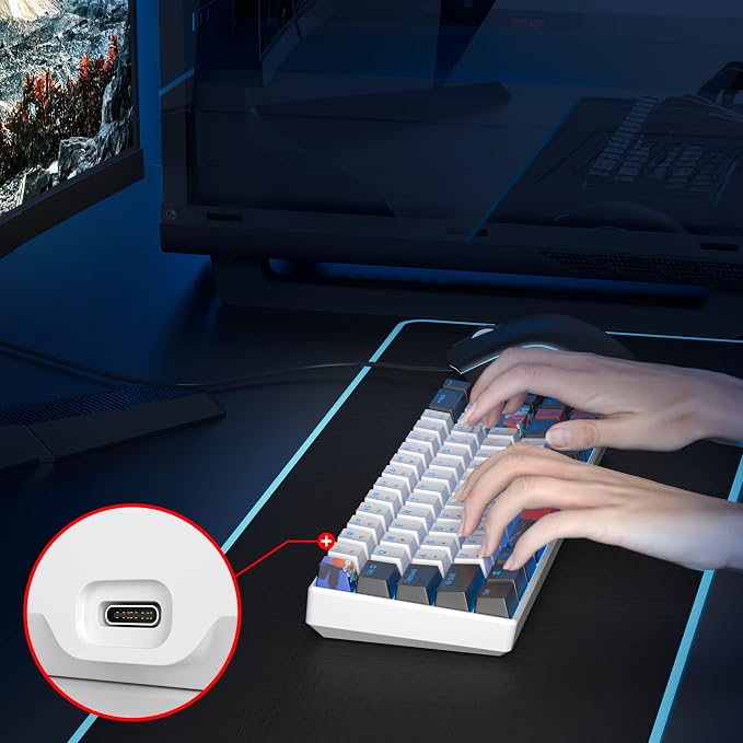 60 Percent Gaming Keyboard 68 Keys Mechanical Keyboard LED Backlit Compact Wired Keyboard with Red Switch for Windows PS4/5 Xbox Gamer(Black-White)