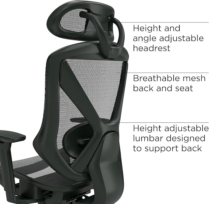 Staples Dexley Ergonomic Task Chair, Mesh, Ergonomic, Lumbar Support, Adjustable Height, Black