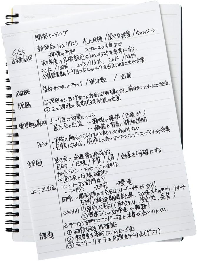 Maruman Mnemosyne Dot Grid Notebook- B5, 9.92" x 7.56", 80 Sheets / 160 Pages, 5mm Dotted Journal, Perforated Pages & Wire-Bound to Lay Flat, Black, Made in Japan