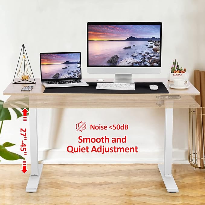 Electric Standing Adjustable Height Desk 48'' x 24''Sit Stand Desk with Charging Station, 2 USB Ports, 3 Power Outlets, 27''-46'' Lifting Range Computer Workstations(Oak)