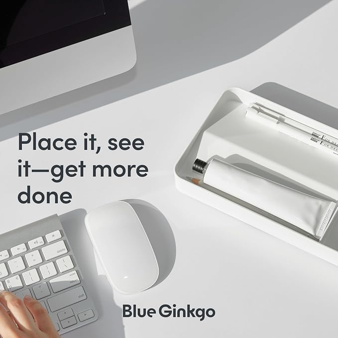 BLUE GINKGO Desk Organizer Tray, White, Made in Korea | Double-Sided. Sloped Design. Easy Access.