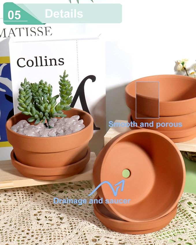 vensovo 5.7 Inch Terracotta Shallow Succulent Pot - 6 Pack Terra Cotta Clay Pots with Saucer, Cacuts Terra-Cotta Indoor and Outdoor Planters with Drainage Hole