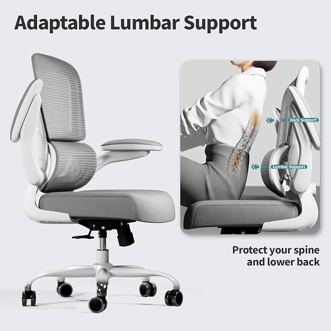 TRALT Office Chair - Ergonomic Desk Chair with Adjustable Lumbar Support, Mesh Computer Chair, Executive Chairs for Home Office Comfortable Lumbar Support (Ash Gray)
