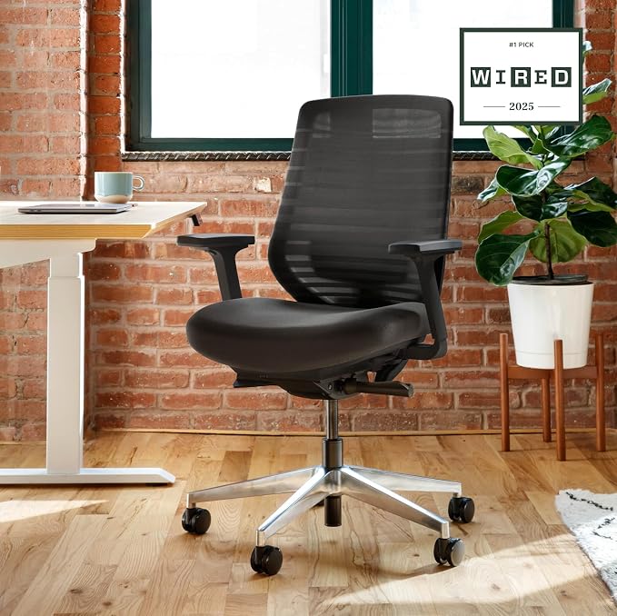 Branch Ergonomic Chair, Versatile Desk Chair with Adjustable Lumbar Support | Breathable Mesh Backrest and Smooth Wheels, Experience Optimal Comfort and Support, All Black