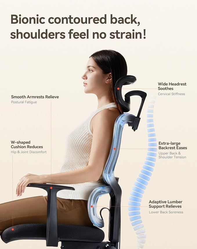SIHOO Ergonomic Office Chair, Desk Chair with Armrests, Computer Chair with Dual Back Design and Adaptive Dynamic Lumbar Support, Dark Black