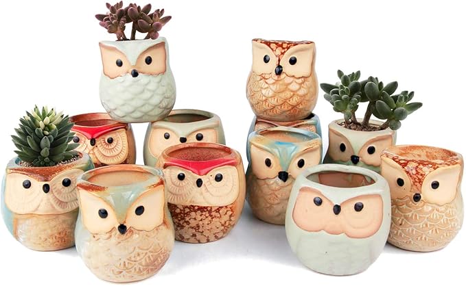 T4U Owl Ceramic Succulent Planter Set of 12, 2.5 Inch - Mini Cute Animal Pots with Drainage Holes, Small Flower Planters for Windowsill Desk Decor, Gift for Owl Lovers