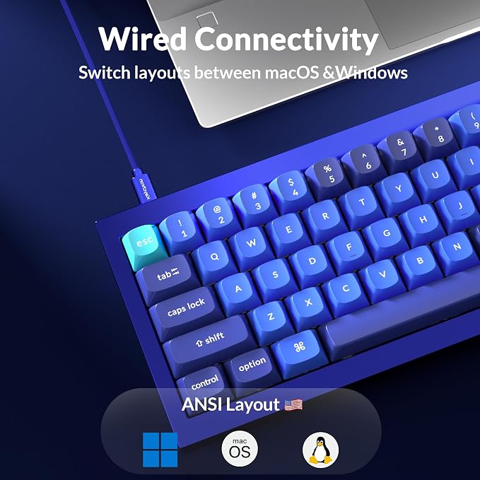 Keychron Q4 Wired Custom Mechanical Keyboard, 60% Layout QMK/VIA Programmable Macro with Hot-swappable Gateron G Pro Blue Switch Double Gasket Compatible with Mac Windows Linux(Navy Blue)