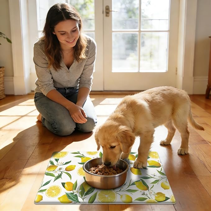 SHACOS Anti Fatigue Lemon Kitchen Rug Runner 17"x47" Kitchen Mats for Floor Non Slip Soft Cushioned Standing Mat Wipeable Waterproof Floor Mat, White