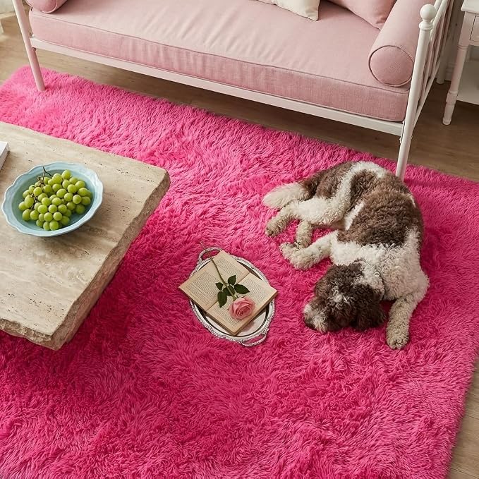 Mugorn Small Soft Shag Rugs for Bedroom, 3x5 Fluffy Area Rugs for Living Room