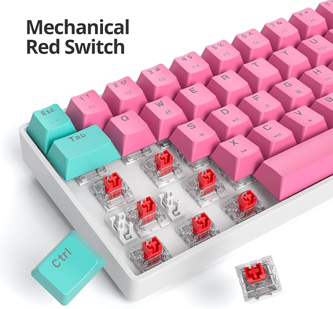 60 Percent Gaming Keyboard 61 Keys Wired Mechanical Keyboard Ultra Compact Keyboard Red Switch LED Backlit for Windows Laptop Gamer(61 Miami)