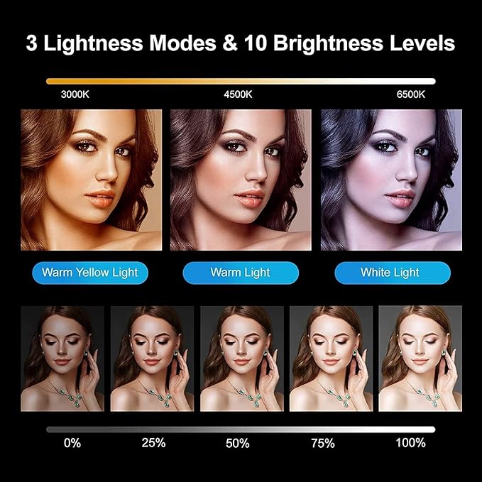 Ring Light for Computer, Video Conference Kit, 6" Ring Light with Clamp Mount & 10 Brightness Level