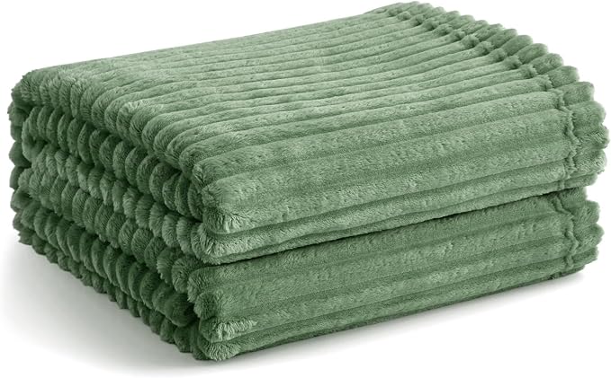 Vessia Flannel Fleece Throw Blanket (50X70 Inch), 300GSM Lightweight Sage Green Throw for Couch, Sofa and Bed - Warm and Soft Green Blanket for All Season(Winter, Fall, Summer, Spring)