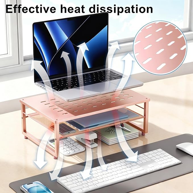 gianotter 2-Tier Metal Monitor Stand Riser, Desk Organizer for Monitor, Office Desk Storage Organizer for Office Supplies (Rose Gold)