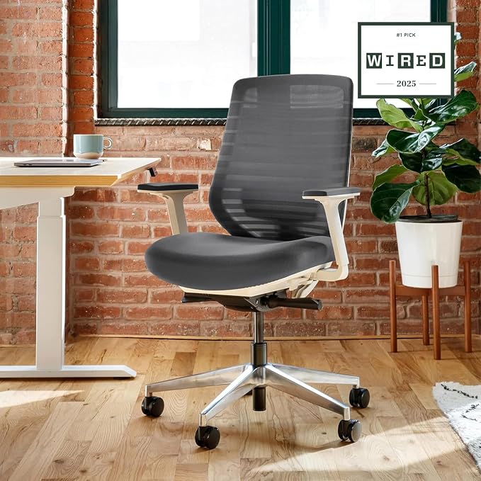Branch Ergonomic Chair - A Versatile Desk Chair with Adjustable Lumbar Support, Breathable Mesh Backrest, and Smooth Wheels - Experience Optimal Comfort and Support - Graphite - White | Breathable Mesh Backrest and Smooth Wheels, Experience Optimal Com...