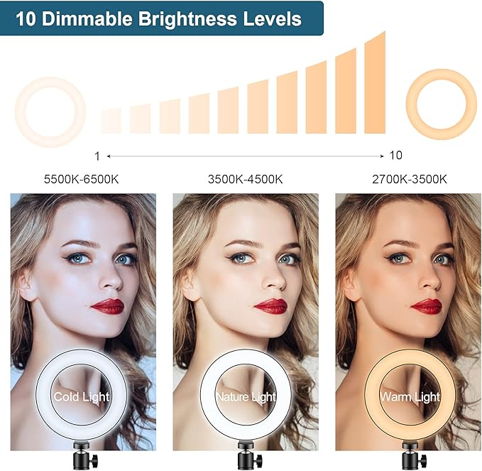 Video Conference Lighting Kit, LED Ring Light for Webcam Lighting, 3 Light Modes & 10 Dimmable Brightness Levels, for Virtual Meeting, Remote Working, Broadcasting, Live Streaming, Makeup
