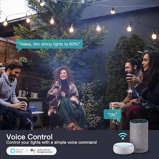 TREATLIFE 2 in 1 Outdoor Smart Dimmer Plug, 2 Individual Control Sockets, 600W, Compatible with Alexa, Google Home, IP64 Dimmer for Outdoor String Lights, Dusk to Dawn, 2.4GHz WiFi Only