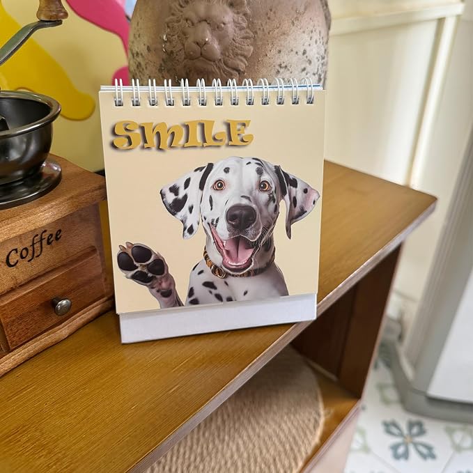 Office Desk Sign,Funny Signs,30 Different Fun and Flip-Over Messages for Desk Accessories，Office Accessories for Presents desk Accessories