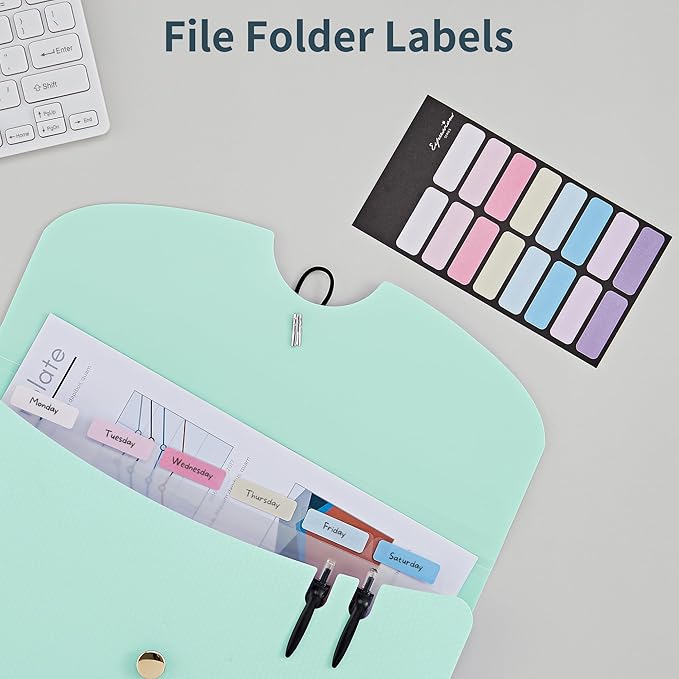 JARLINK 7 Pockets Expanding File Folder, A4 Accordion File Folders with 12 Labels, Cute Paper Organizer, Portable Document Organizer for College School Office Supplies, Macaron Blue & Macaron Pupple