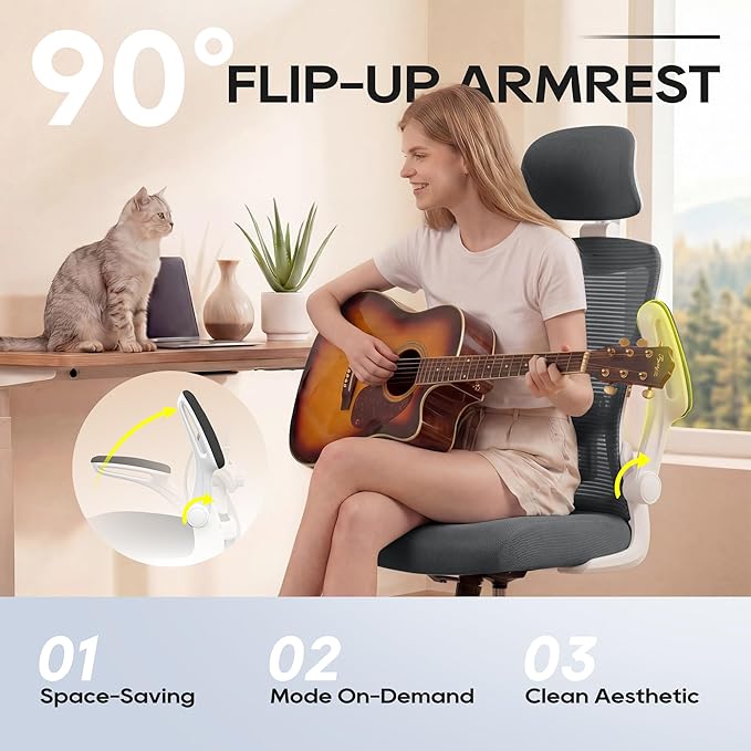 Ergonomic Office Chair, High Back Mesh Desk Chair with Adjustable Lumbar Support & Headrest, Flip-up Armrest, Computer Task Chairs for Home and Executive Office (W-Dgrey)