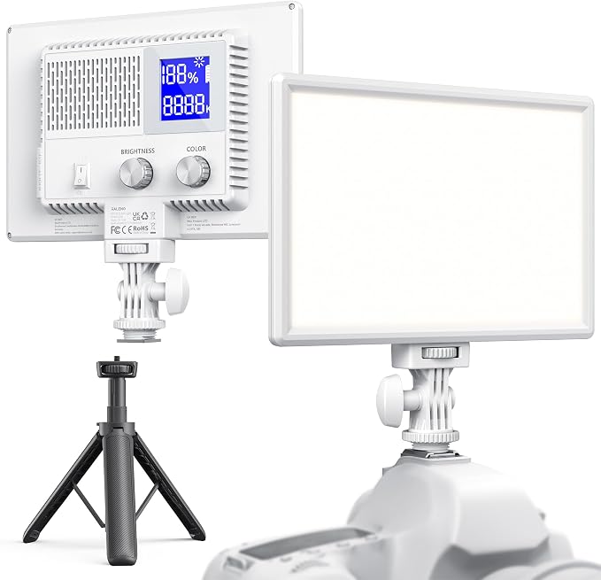 RALENO LED Video Light, White Camera Light for Pictures Video Recording with 4000mAh Battery Support Type-C USB Power Supply, CRI>95 2500K-6500K Photo Lights for Outdoor Photography Live Streaming