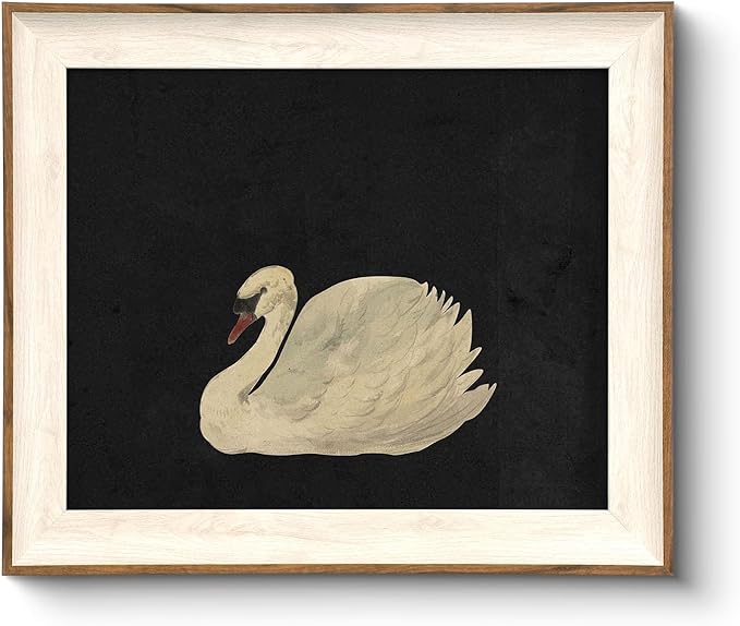 VIYYIEA Framed Wall Art for Living Room, Swan Wall Decor, 12L x 10W | Vintage Artwork, Canvas Prints, Animals Painting, Bathroom Picture, Light Weight, Easy to use