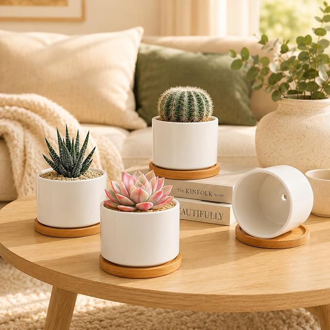 ZOUTOG Succulent Pots 3.15 Inch,4 Pack Succulent Planters,Small Pots for Plants with Drainage and Tray,White Ceramic Flower Planters for Indoor Plants,Home,Office,Desk