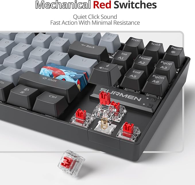 75 Percent Mechanical Gaming Keyboard, 87 Keys RGB Backlit Wired Keyboard TKL Compact Keyboard with Linear Red Switches for Laptop PC PS4 PS5 Xbox Gamer(87 Dolch)