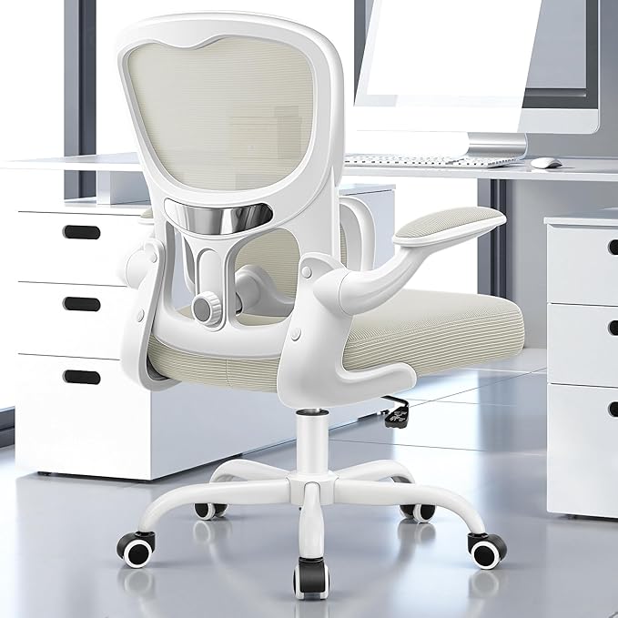 ALLGOD Ergonomic Office Chair, Breathable Mesh Ergonomic Desk Chair with Adjustable Lumbar Support, Flip-up Armrests, Computer Chairs Comfortable for Home, Office, Work, 300lbs, White, Upgrade