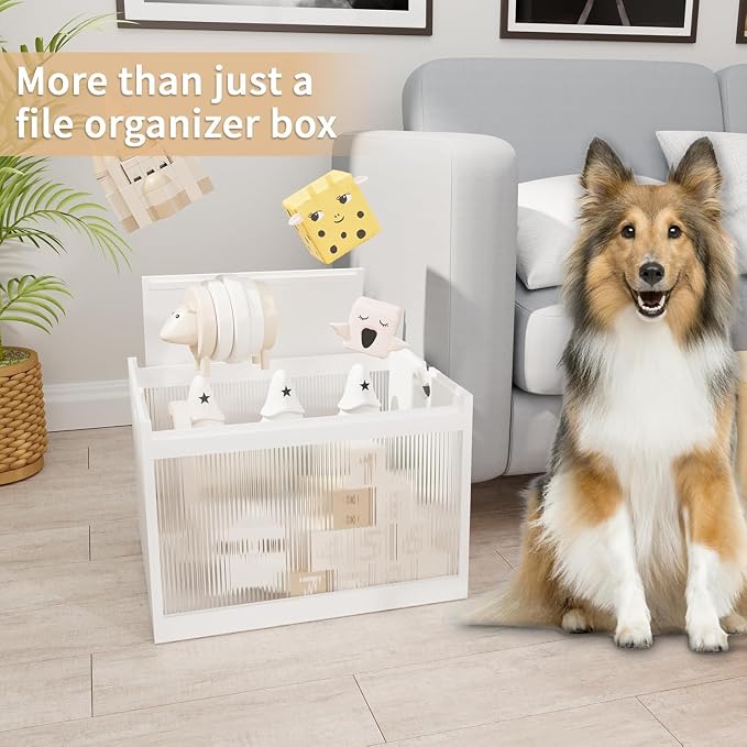Bamboo Hanging File Organizer, Desktop File Box with Lids, 2 Pack, White | Removable Lid, Clear Acrylic Side Panels, 4 Hanging Folders Included, Helps Reduce Dust, Letter & Legal Size, Easy Assembly