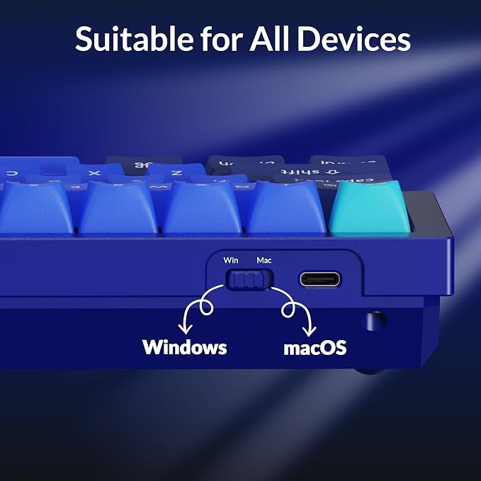 Keychron Q4 Wired Custom Mechanical Keyboard, 60% Layout QMK/VIA Programmable Macro with Hot-swappable Gateron G Pro Blue Switch Double Gasket Compatible with Mac Windows Linux(Navy Blue)
