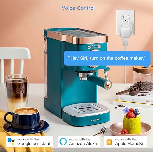 Smart Plug Work with HomeKit, DoHome Smart WiFi Outlet Work with Apple HomeKit, Alexa and Google Assistant Voice Control Plug with Timer Function and Group Control No Hub Required 4 Pack