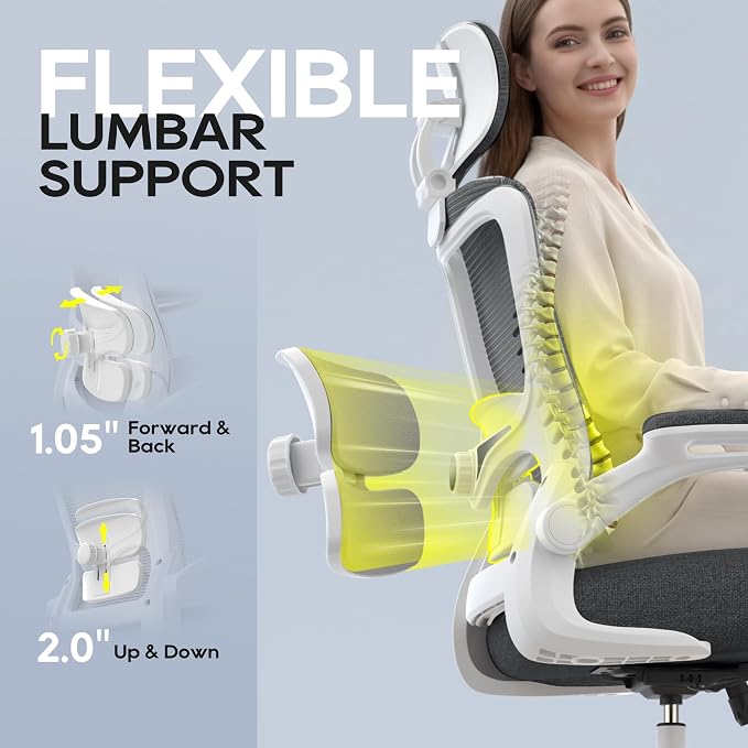 Ergonomic Office Chair for Long Hours, Adjustable Padded Lumbar Support for Lower Back Relief, 330 lb Capacity, Comfortable Computer Desk Chair for Home Office, Work & Study