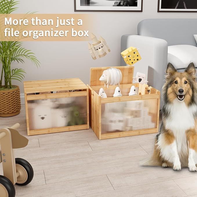 Bamboo Hanging File Organizer, Desktop File Box with Lids, 2 Pack, Natural | Removable Lid, Clear Acrylic Side Panels, 4 Hanging Folders Included, Helps Reduce Dust, Letter & Legal Size, Easy Assembly