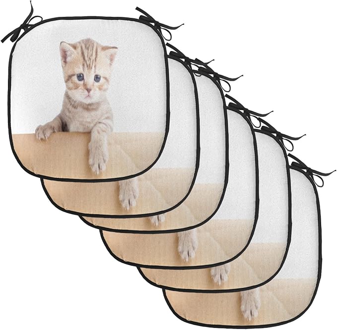 Lunarable Cat Chair Cushion Pads Set of 6, British Cat in Cardboard Box Little Striped Fur Looking at Camera Picture, Anti-Slip Seat Padding for Kitchen & Patio, 16"x16", Sand Brown White
